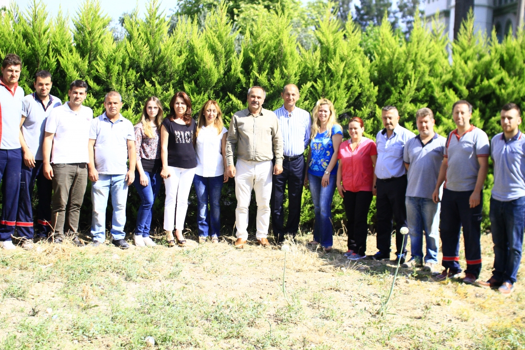 albayrak ampalaj toptan plastik gıda kapları plastik bardak